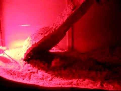 Tarbíci.AVI