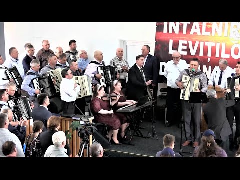 O oră de muzică cu LEVIȚI la Zădăreni-Arad