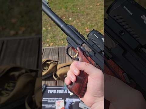 Browning Buck Mark .22 Demonstration