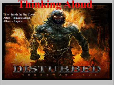 Disturbed - Inside the Fire  Acoustic Cover