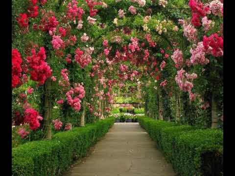 TU'IMALA (FE'AO MOE NGALU 'OE HALA TUPOULAHI)LOTO HE KELEKELE