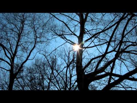 Wolfgang Gsell - Hishiryo • 非思量