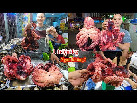 Ăn Bạch tuộc khổng lồ giá 1 triệu/kg ở quán Tôm hùm 54 Tân Sơn Nhì | giant octopus eating