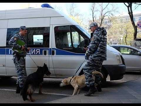 Из-за ложных сообщений о минировании на Кубани эвакуировали десятки тысяч человек