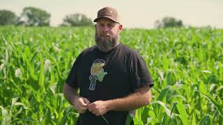 Russell Hedrick & David Kleinschmidt - Microbial Activity, Carbon/Nitrogen Ratios and Nutrients