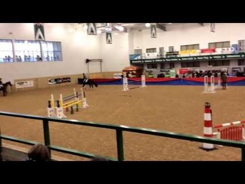 Eventing Stallions at British Stallion Show