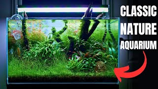 I MADE AN &#39;&#39;ADA INSPIRED&#39;&#39; AQUASCAPE FOR MY FAVOURITE NANO FISH!
