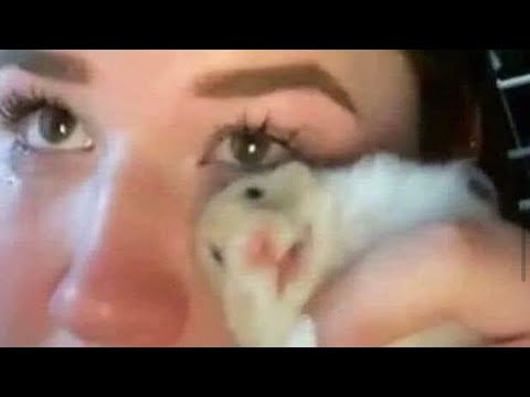 Crappy US Hydraulic Elevator @ Parkview Apartments - Denver, CO