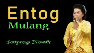 Download lagu ENTOG MULANG JAIPONGAN KLASIK JURU KAWIH NA NGABODOR mp3