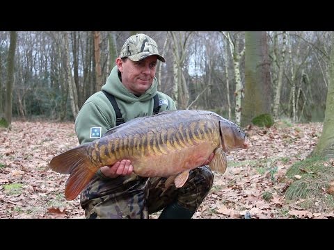 Sharpy Gives An Expert Insight Into The Hinged Stiff Rig