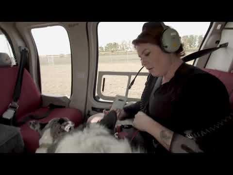 K9 Kris ! Airing On Wild Tv & RFD