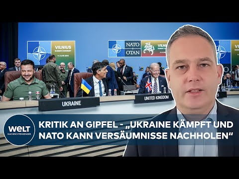 HARTE KRITIK AN NATO: "Eine Frechheit zu sagen, die Ukraine sollte mehr dankbar sein" I WELT Analyse