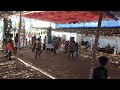 Arianayagipuram Karkuvelayyanar Kovil Kodaivizha Samyattam 2023