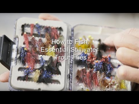 How to Fish: Essential Stillwater Trout Flies | GoFishBC