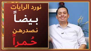 شرح معلقة عمرو بن كلثوم ( 3 ) - أبا هند فلا تعجل علينا - نورد الرايات بيضا، ونصدرهن حمرا image