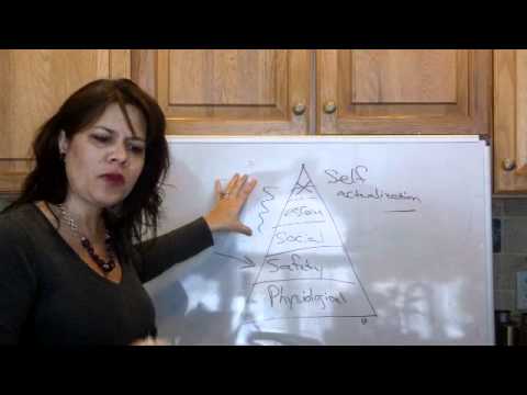 Ch 6 Maslow's Hierarchy