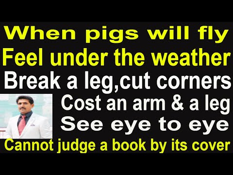 Unique idioms When pigs will fly,break a leg,see eye to eye,cost an arm and a leg