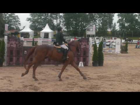 Duke FŚR CSN Gałkowo 2016