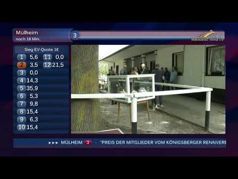 Oriental Tiger-Rennen