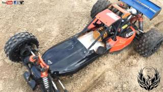 Amewi Pitbull : Offroad Bashen