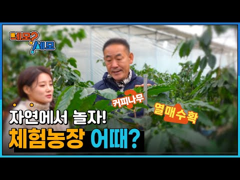 [네모세모] 자연에서 놀자 '체험농장'