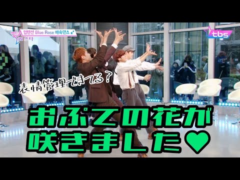 【UP10TION】Fact iN Star－Blue Rose倍速ダンス【日本語字幕】