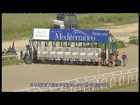 Galoppo corse del 18 Marzo 2017