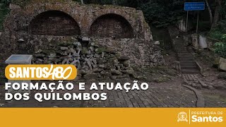 Santos 480 -  Formação e atuação dos quilombos