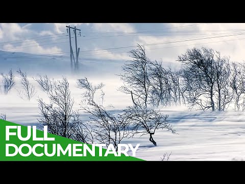 Russia's Icy Northern Sea Coast