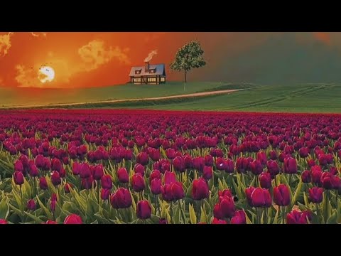 Abdul Rahman Mossad Beautiful Quran Recitation | Heart Soothing Voice