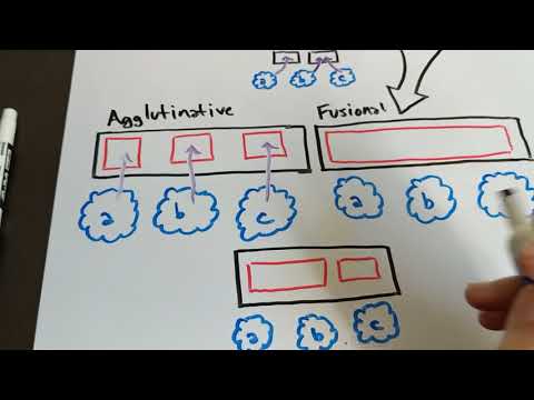 Isolating, Synthetic, Agglutinative, and Fusional