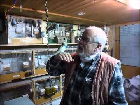 2012 12 11 Und noch ein Bielefeld