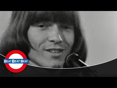 The Hep Stars (feat. Benny Andersson) - Sunny Girl (1966)