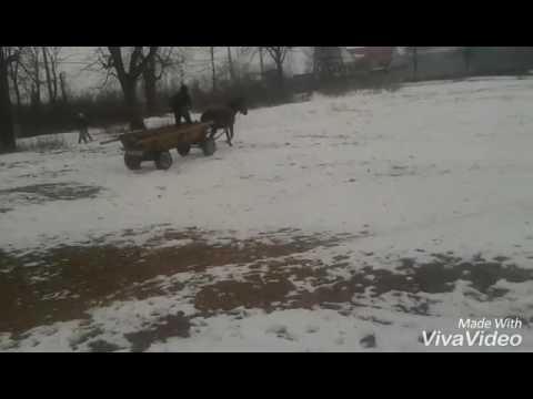 Asa se distreaza romanii