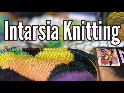 Noro Knit Intarsia Scarf Kit, Is it a Yay or a Nay?