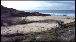 preview picture of video 'Praia do dique'