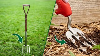 Garden Fork vs Border Fork: Which One is Right for Your Gard