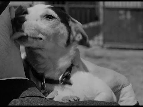 Umberto D. (1952) - Vittorio De Sica - Carlo Battisti - Maria Pia Casilio - English Subtitles