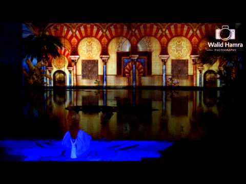 Le plus grand spectacle son et lumière d'Afrique