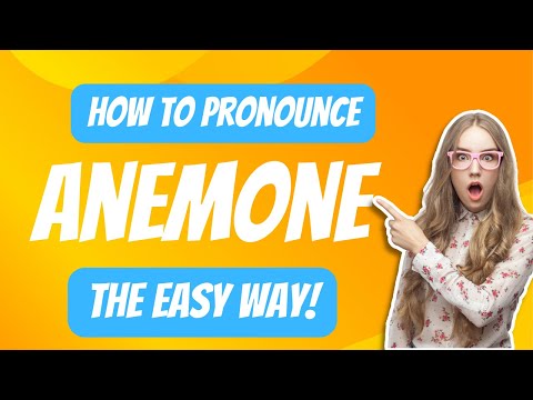 How to Pronounce Anemone [Easy English Pronunciation]