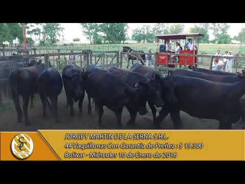 10-01-18 Venta de Vientre - Jorge y Martin De La Serna S.R.L. - Bolivar