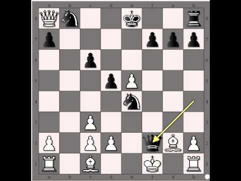 Matiranje kao zavrsni cin - SAMSONOV vs NEZHMETDINOV - naj partije  # 480