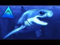 BABY SHARK DOO DOO DO!!! - Depth | Ep18 HD