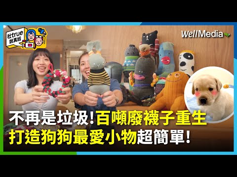 不再是垃圾 百噸廢襪重生!社頭襪子餘料有解?巧手一變 緝毒犬最佳的陪伴玩具!【社true說真話】EP11