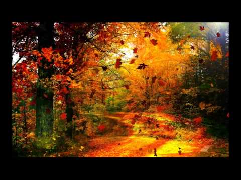 Close Of Autumn video