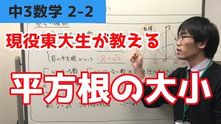 サンプル動画