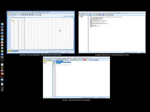 027 Dummy-Variablen erstellen mit dem COMPUTE-Befehl in der SPSS Syntax