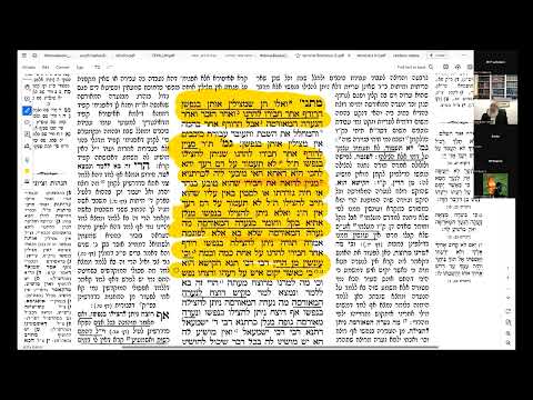 Preemptive Self Defense in Halacha | Shiur By Rav Asher Weiss Shlit"a