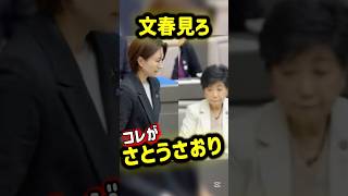 【さとうさおり】小池百合子に魂売るか真実の文春か選べ #さとうさおり #小池百合子 #都民ファーストの会 #都議会 #週刊文春