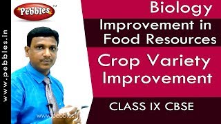 Crop Variety Improvement : Improvement in Food Resources | Biology | Class 9 | CBSE